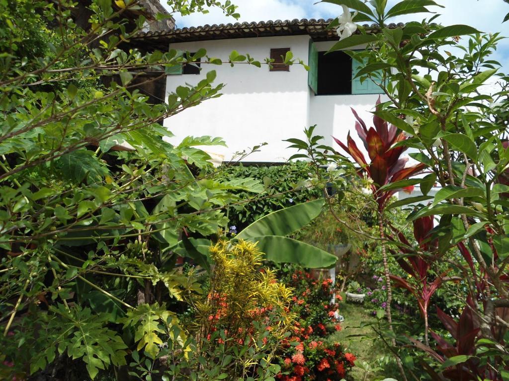 Casa Mirage Pipa , Apartamentos Praia de Pipa 외부 사진